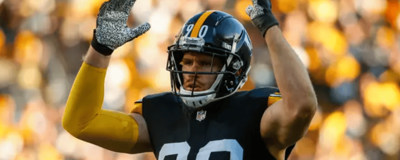 NFL analyst has major prediction for Steelers' T.J. Watt