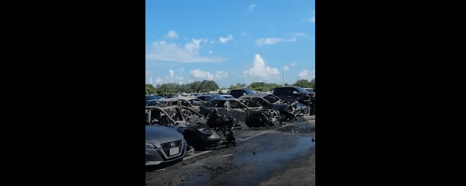 Dolphins parking lot tailgate turns into a nightmare 