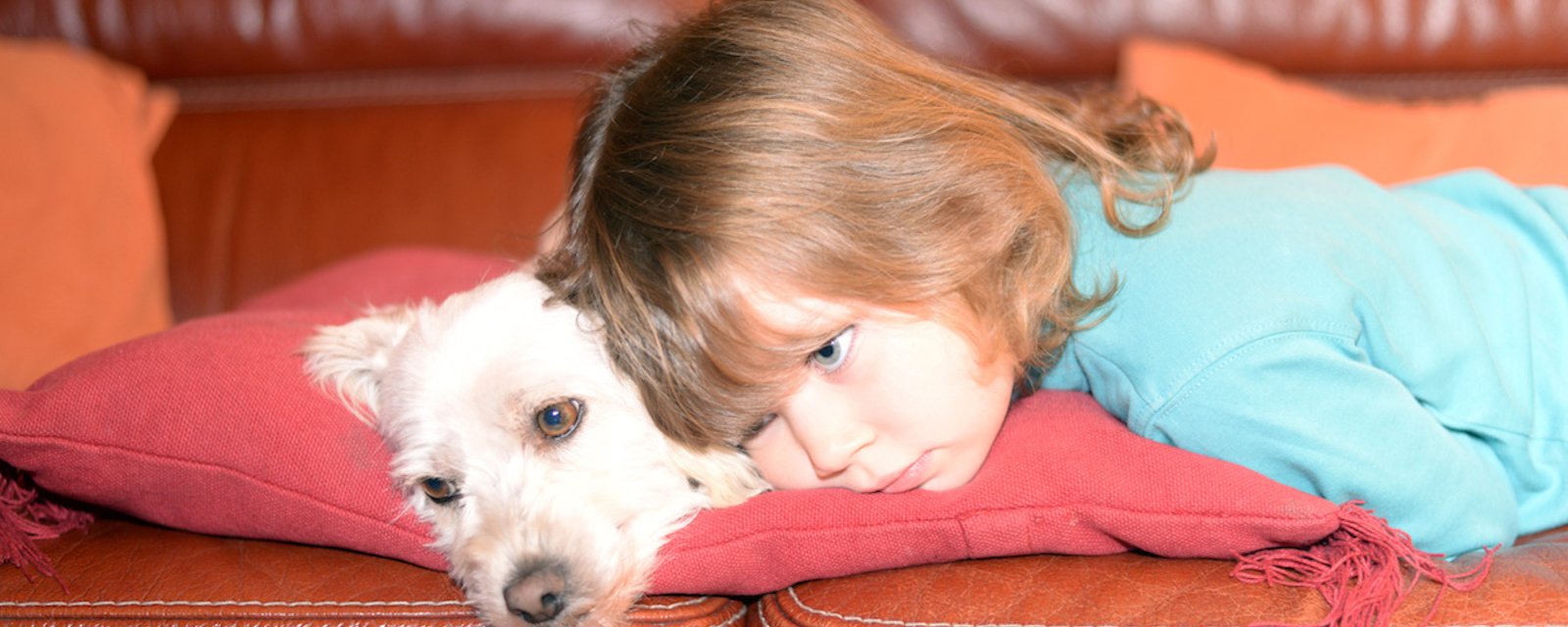Les 9 meilleurs chiens pour aider un enfant autiste