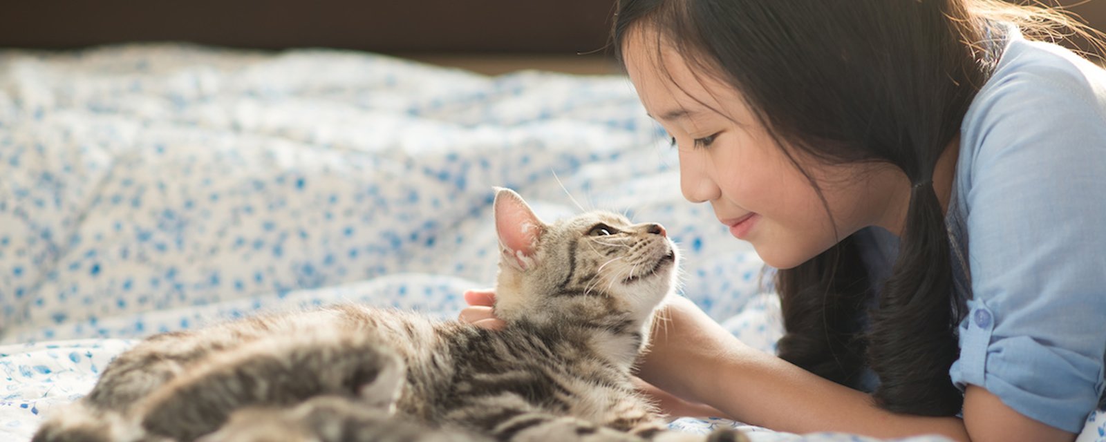 Les avantages scientifiques d'être un « Cat Lover »