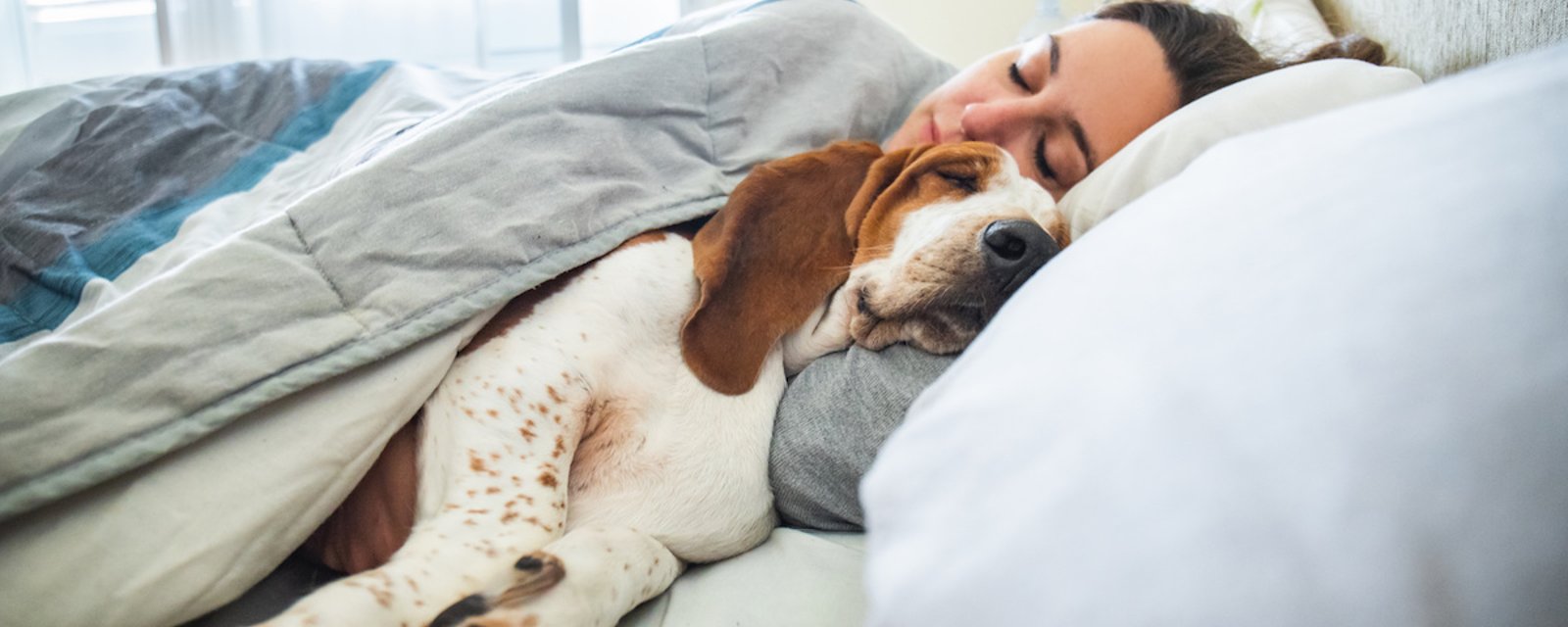 Dormir avec votre chien pourrait vous être bénéfique