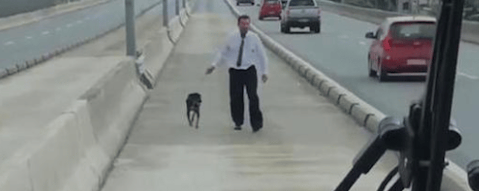 Ce chauffeur de bus au grand coeur a sauvé un chien sur l’autoroute