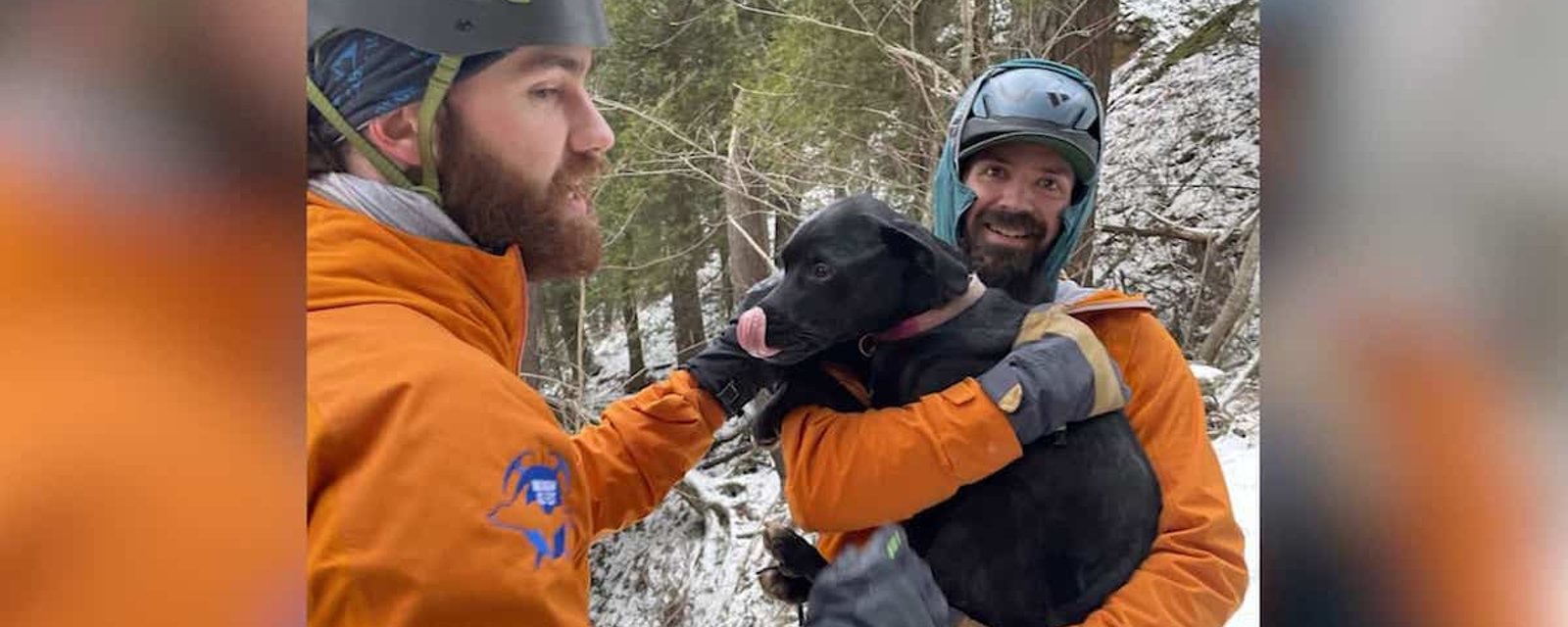 Ce chien a survécu à une chute de 20 mètres dans un parc national