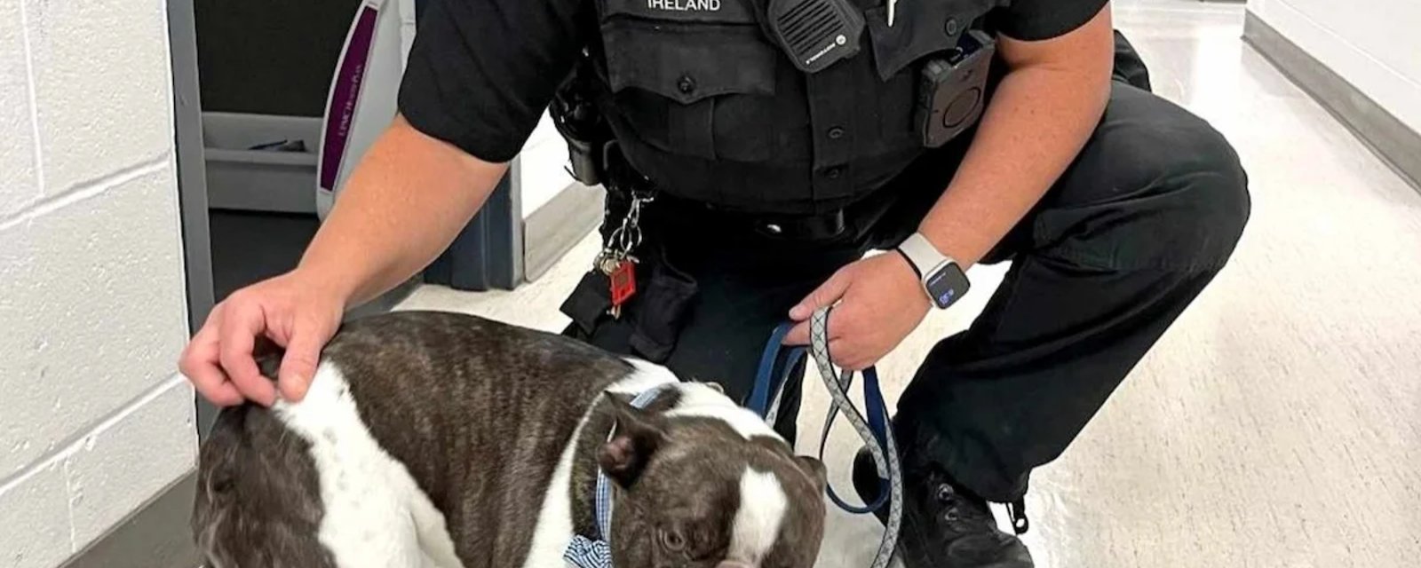 Une femme abandonne son chien dans le stationnement d'un aéroport.