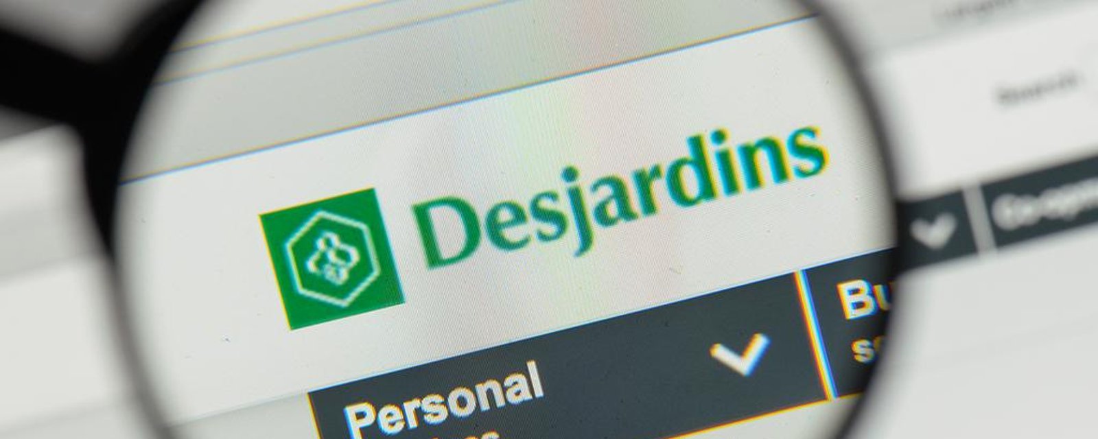 Plus de 100 millions $ à se partager pour les membres Desjardins