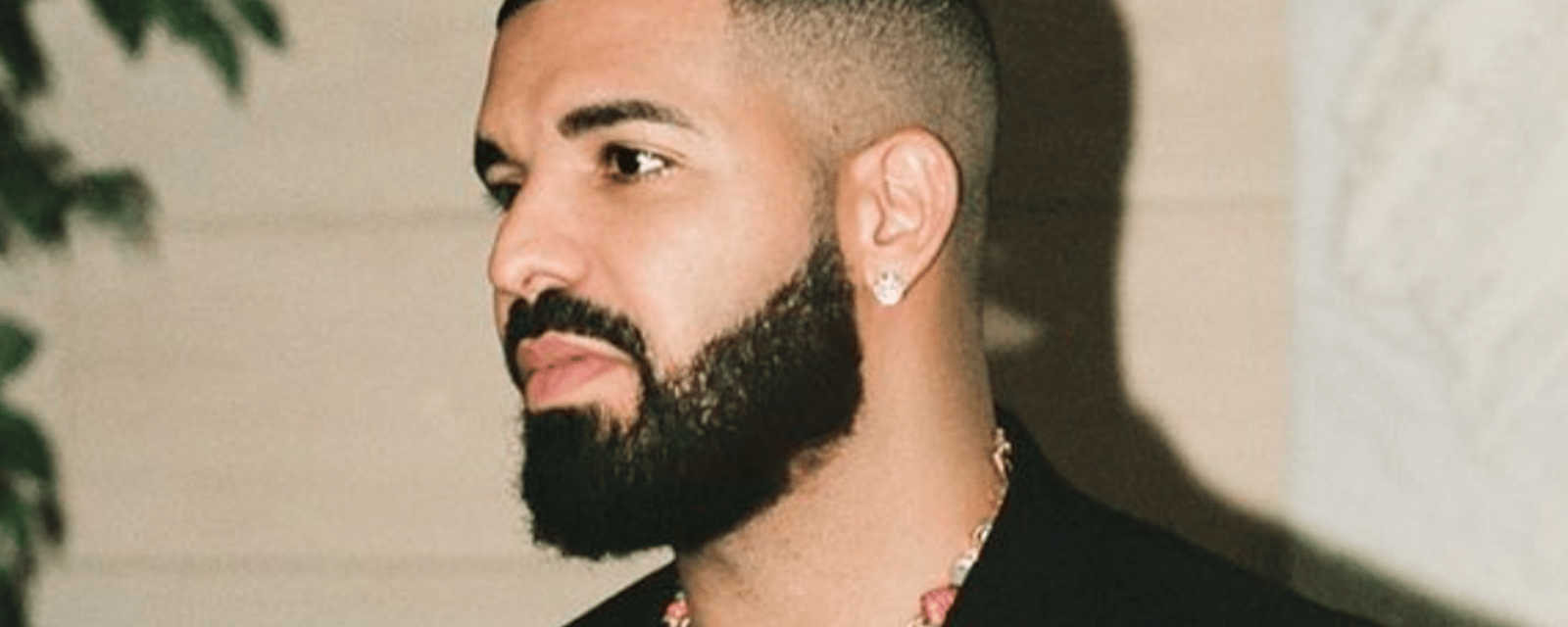 Drake offre une grosse somme d'argent à un fan qui a tout fait pour venir à son concert