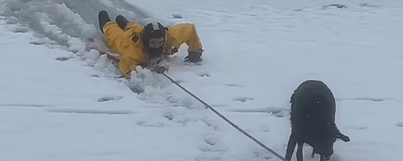 Des pompiers sauvent un chien des eaux glaciales.