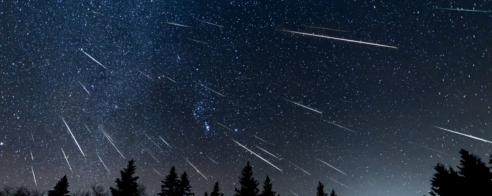 Les Québécois pourront assister au meilleur spectacle de l'année très bientôt dans le ciel!