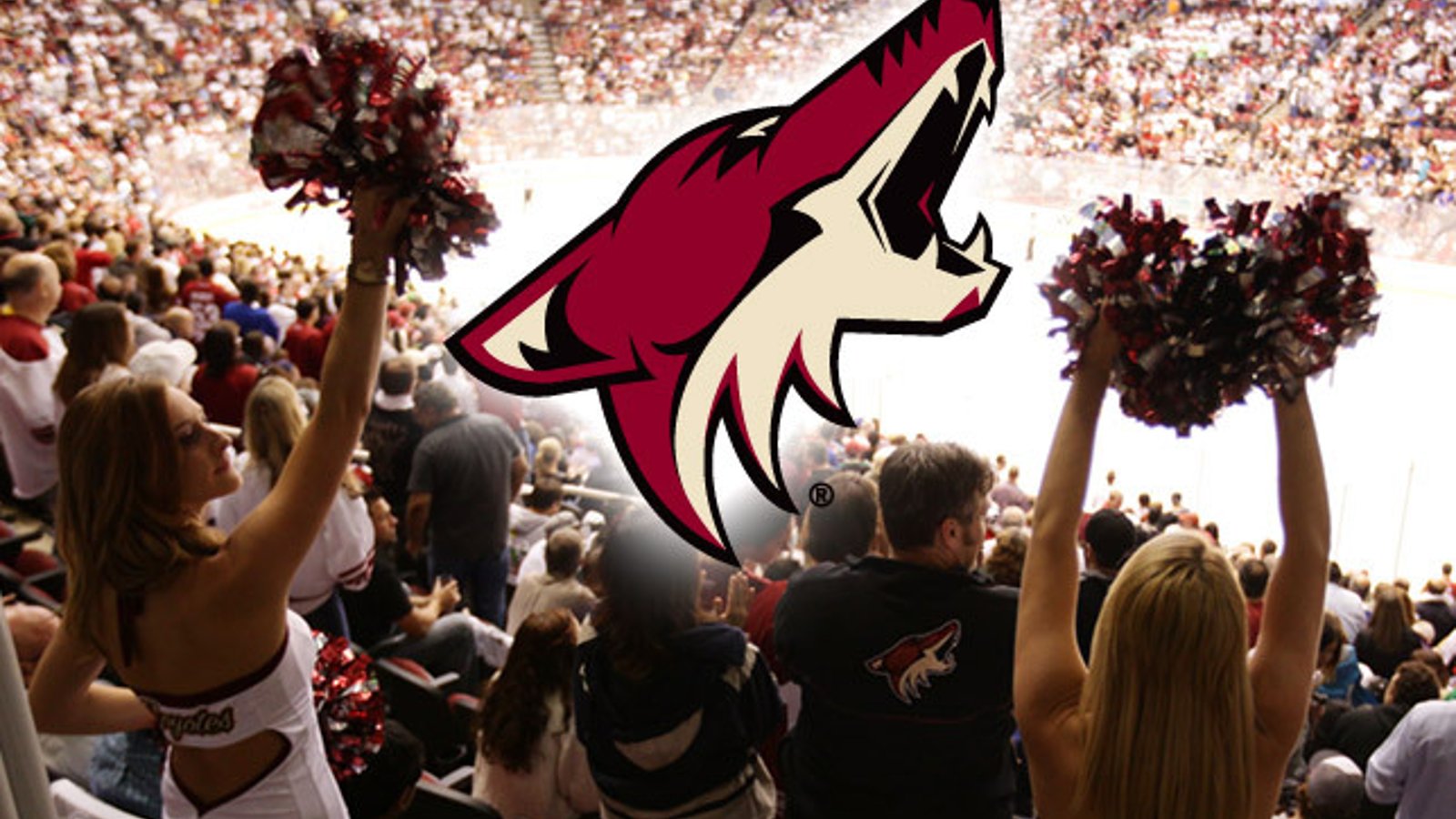 Le coup de génie des Coyotes!