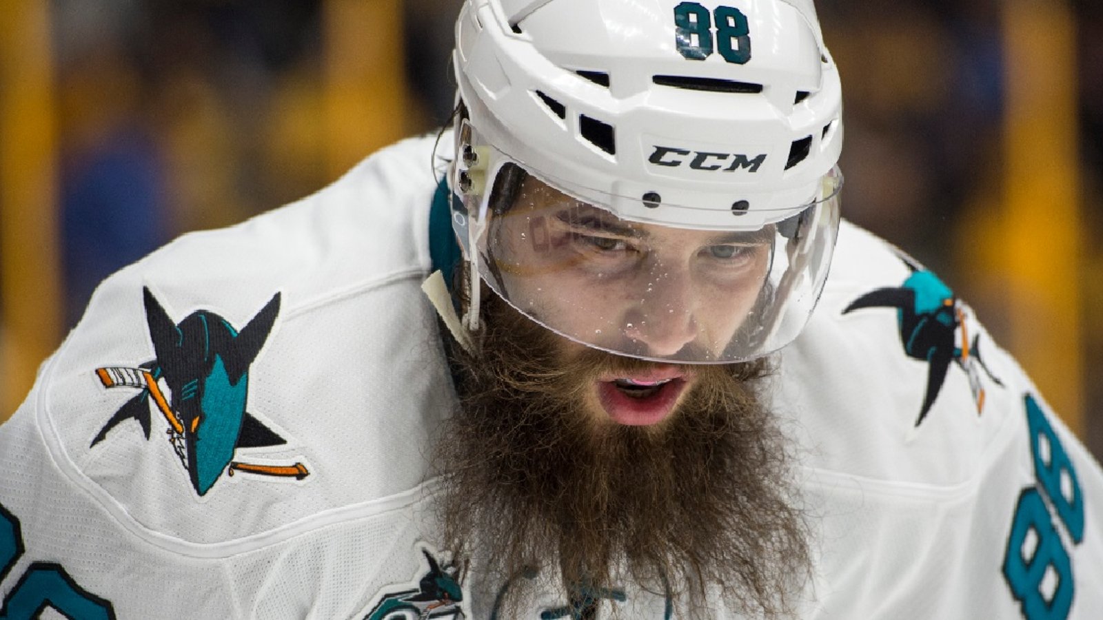 Les Sharks dévoilent une autre promotion folle pour l'an prochain!