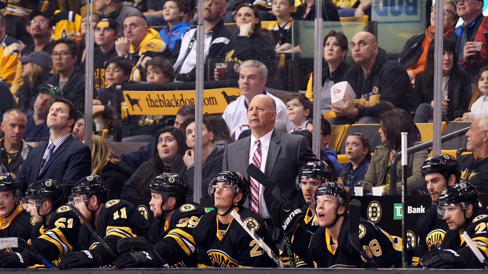 Un nouveau chez les Bruins!