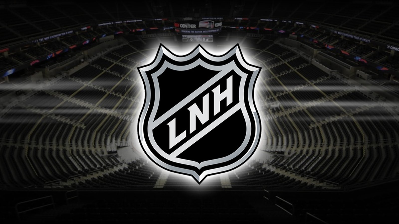 Un joueur de la LNH se dit prêt à défier Gary Bettman!