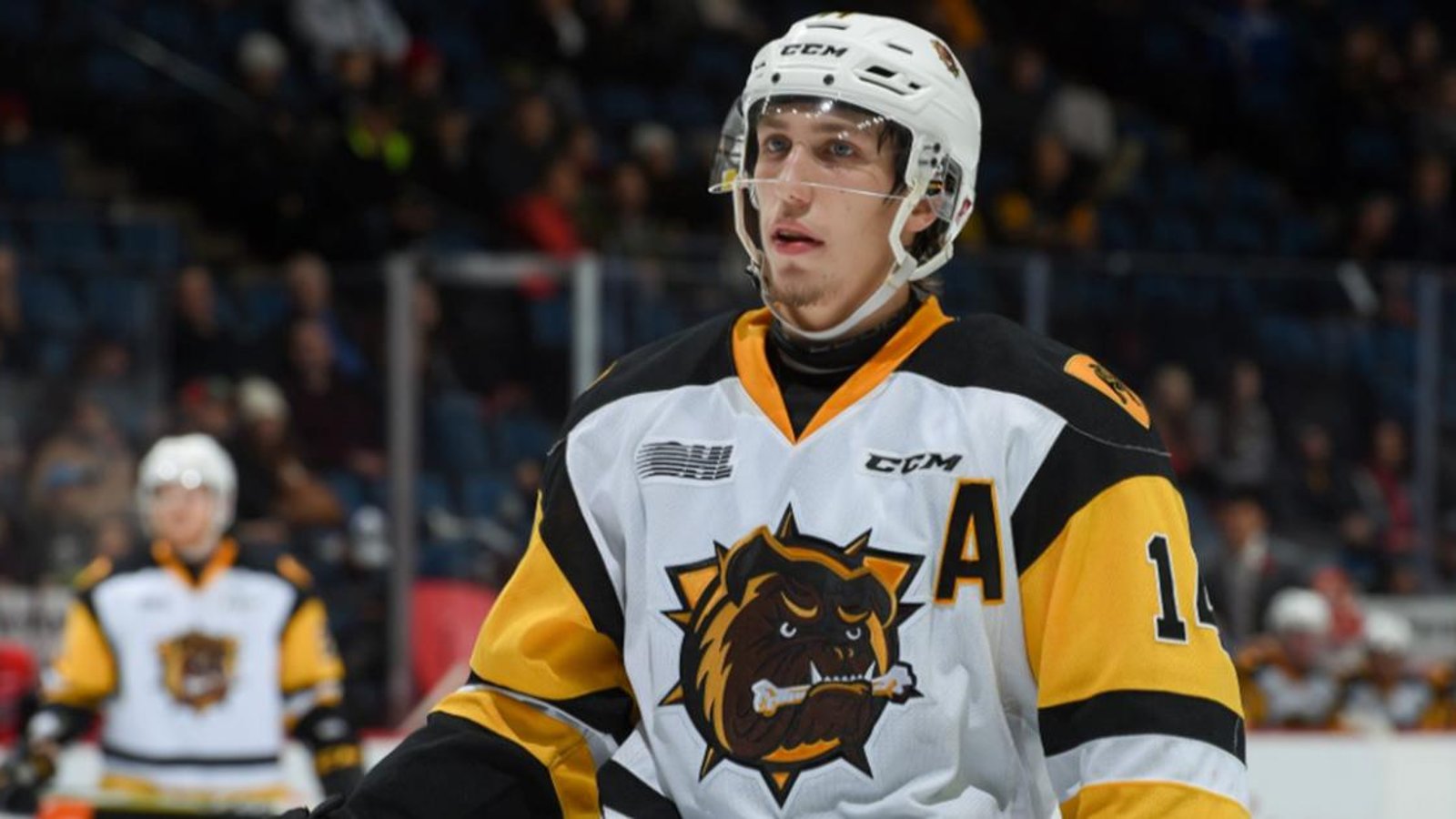 Un espoir du CH est en feu dans la OHL!