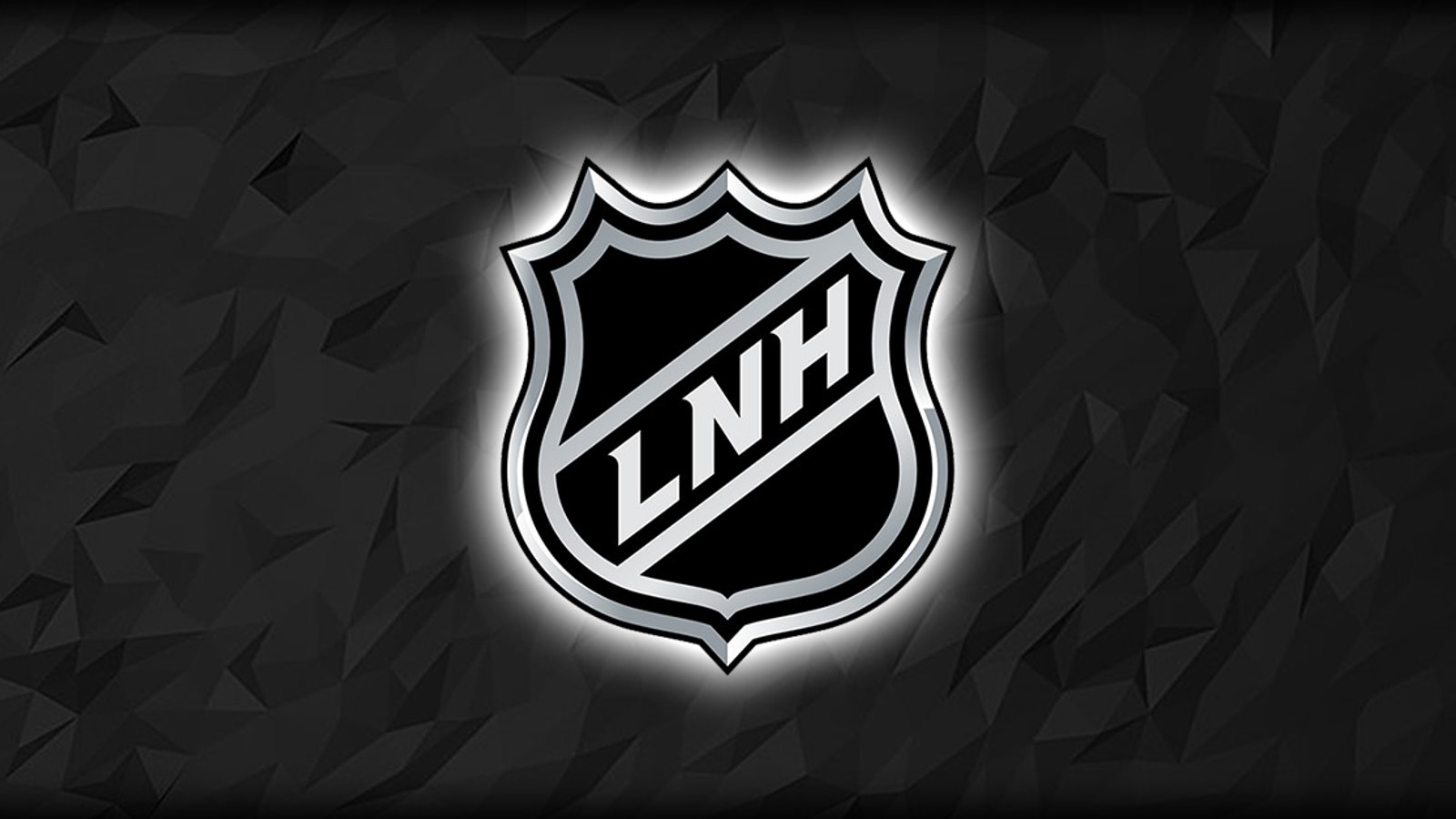 La LNH est forcée de retarder le match entre les Capitals et les Islanders