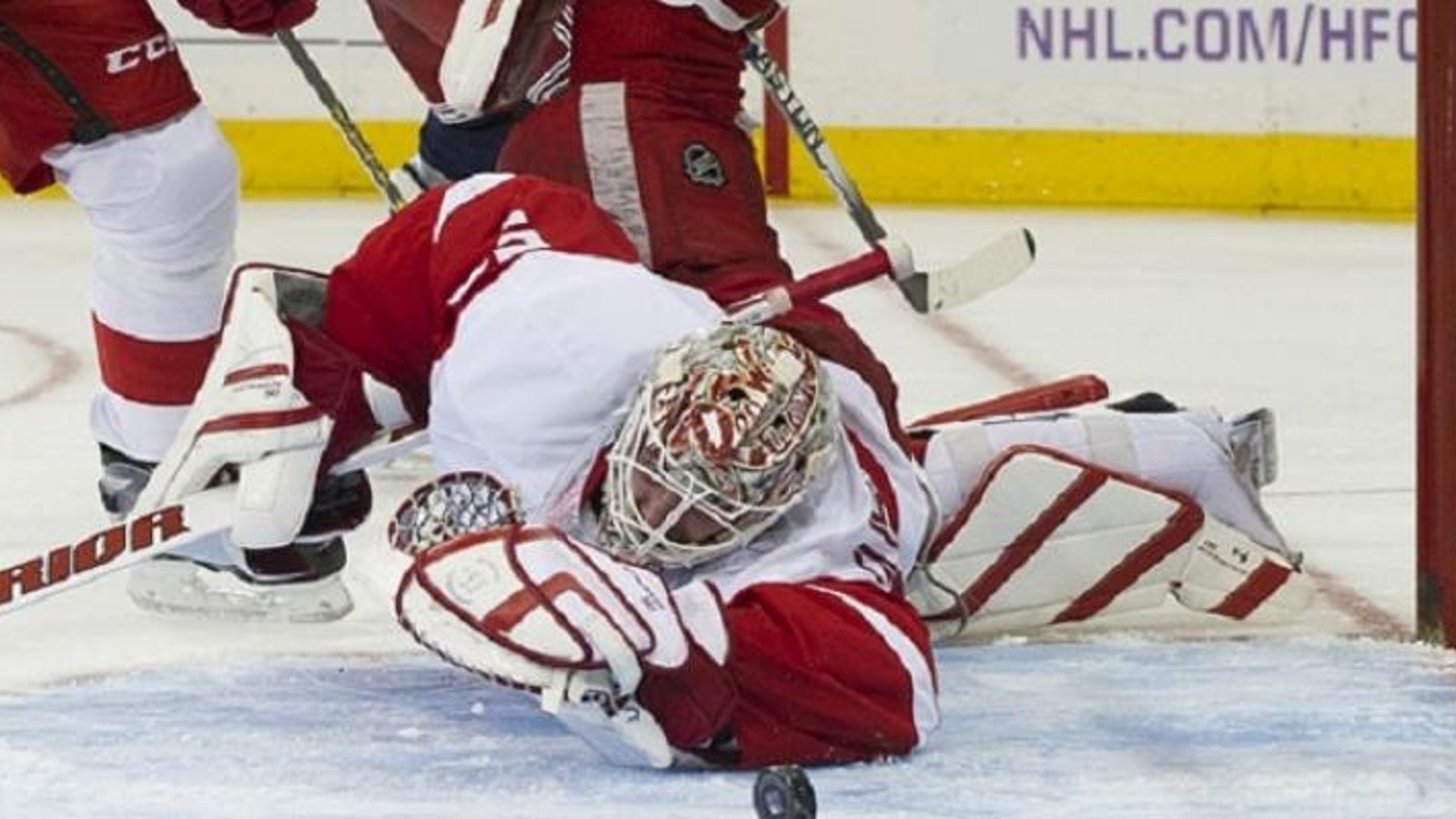 Injury update: Bad news for Red Wings goalie