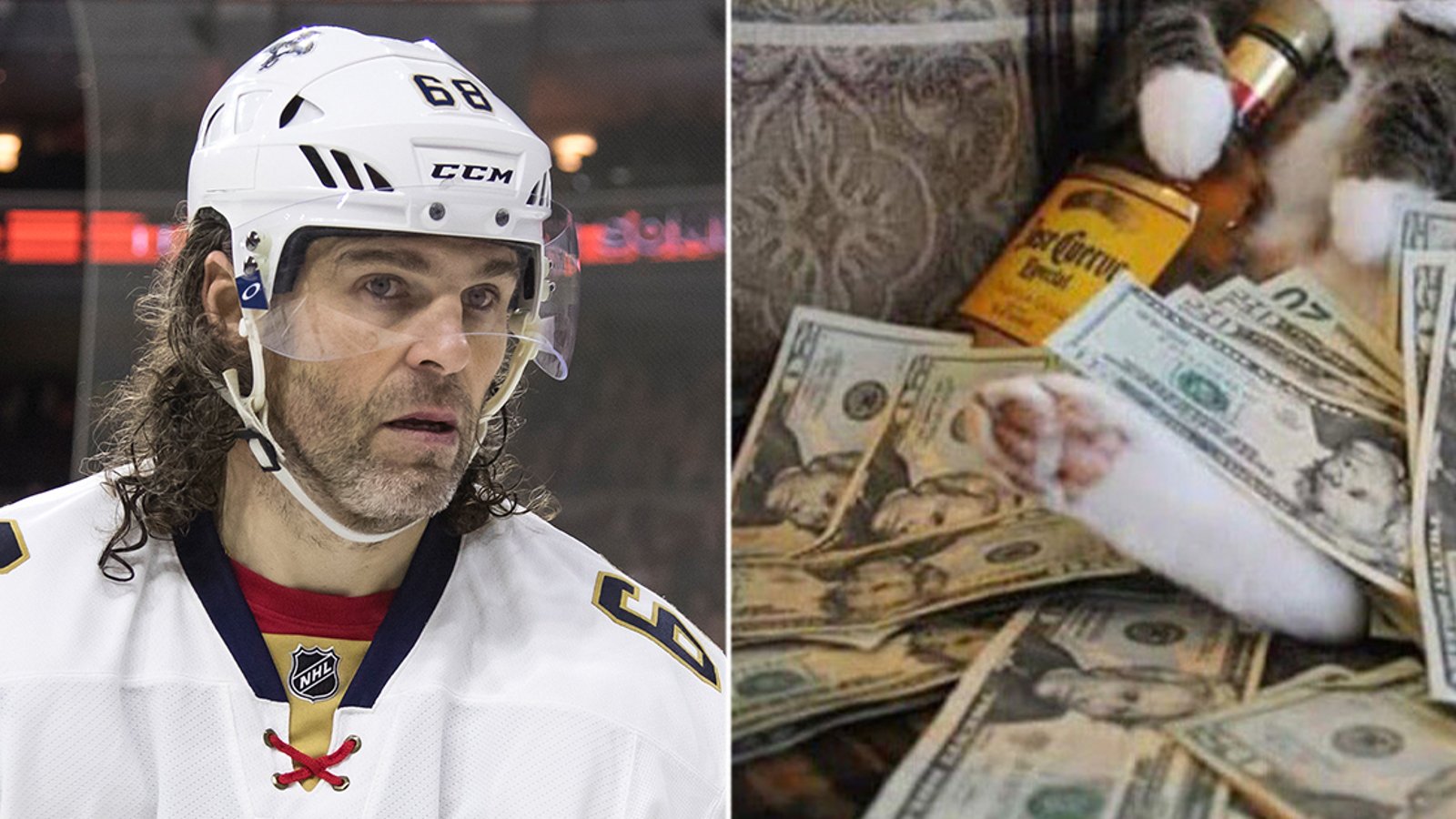 Must See: Jagr’s cat wins the Internet with viral photo