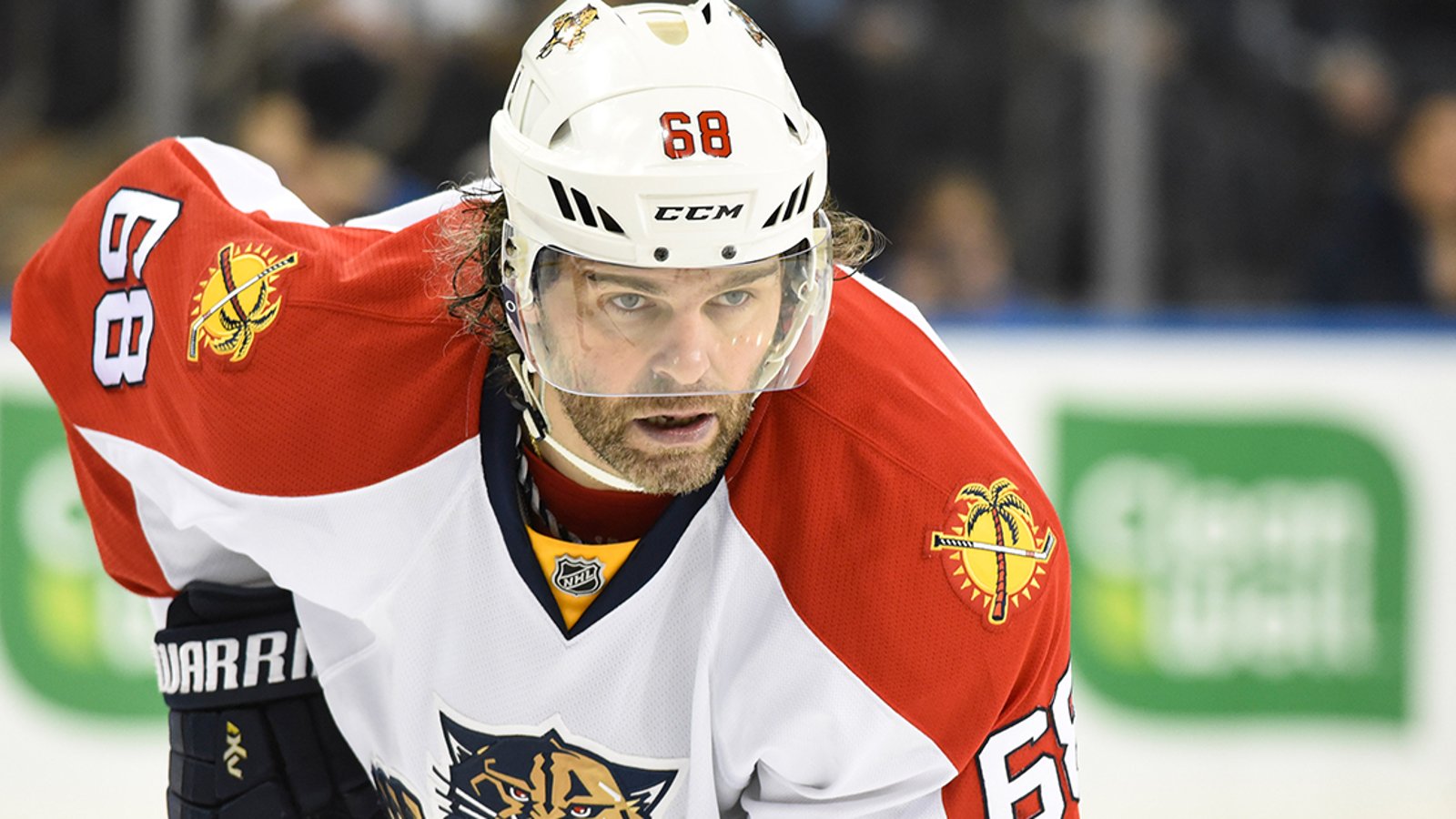 Report: Jagr turns down NHL offer!