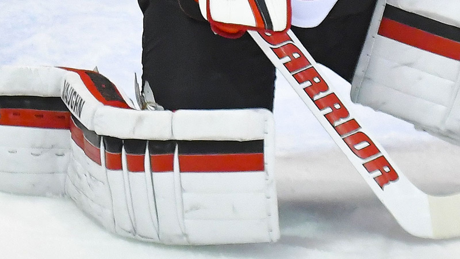 Breaking: Star goaltender is activated off IR, will get the start tonight
