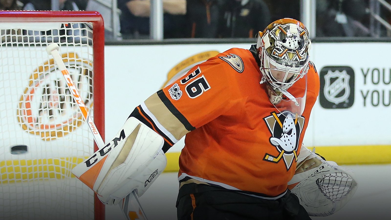 Injury report: Carlyle provides update on Gibson's injury