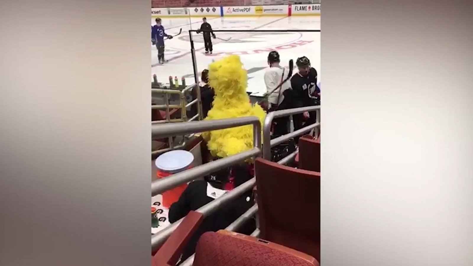 NHL star hits the ice as big bird during Tuesday practice. 