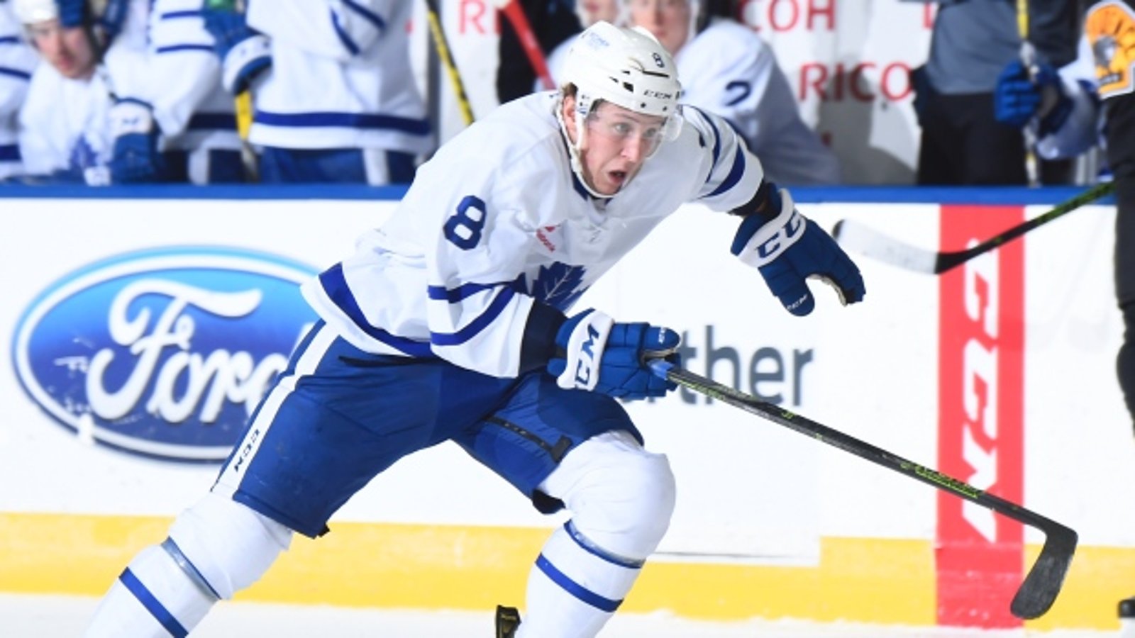 Report: Travis Dermott continues to impress in the AHL!