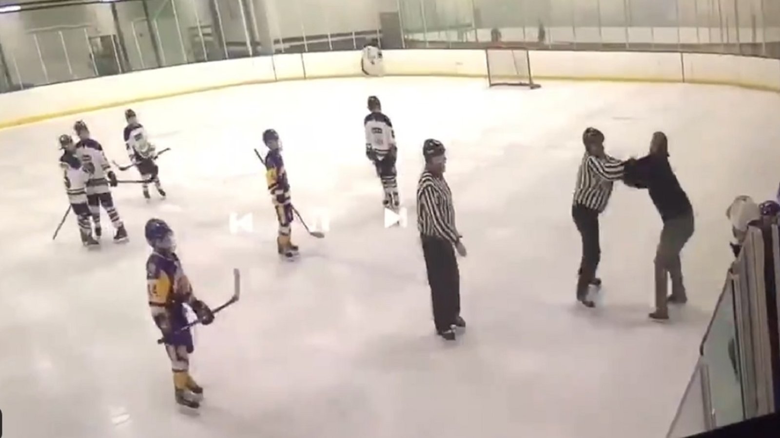 Crazed coach attacks referee at youth hockey game.