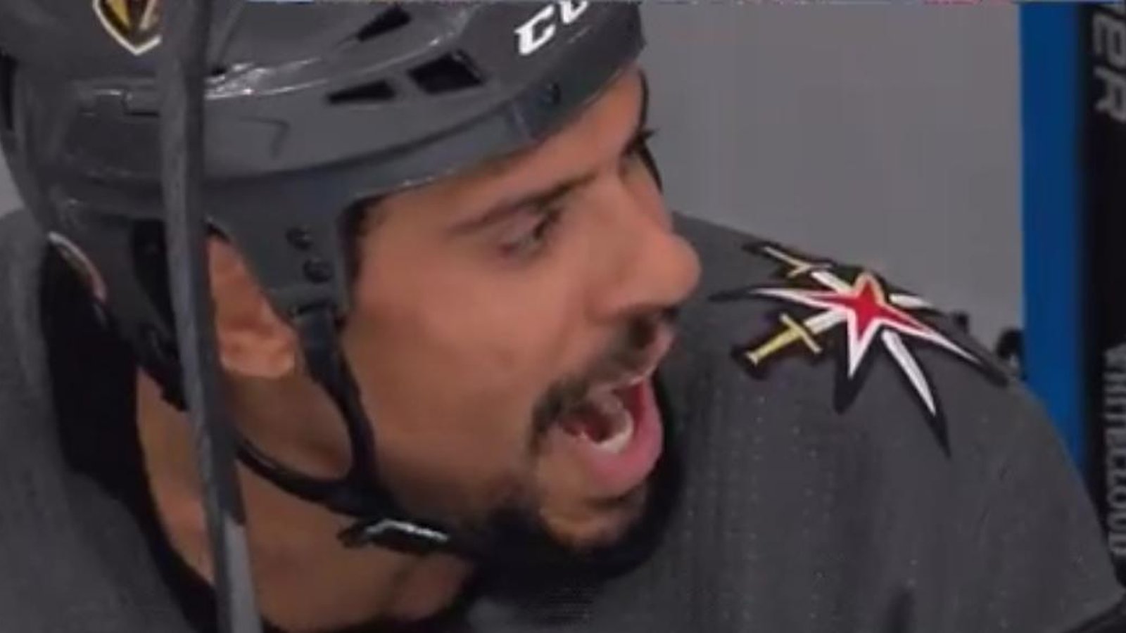 Ryan Reaves taunts the Vancouver Canucks bench in Game 1.