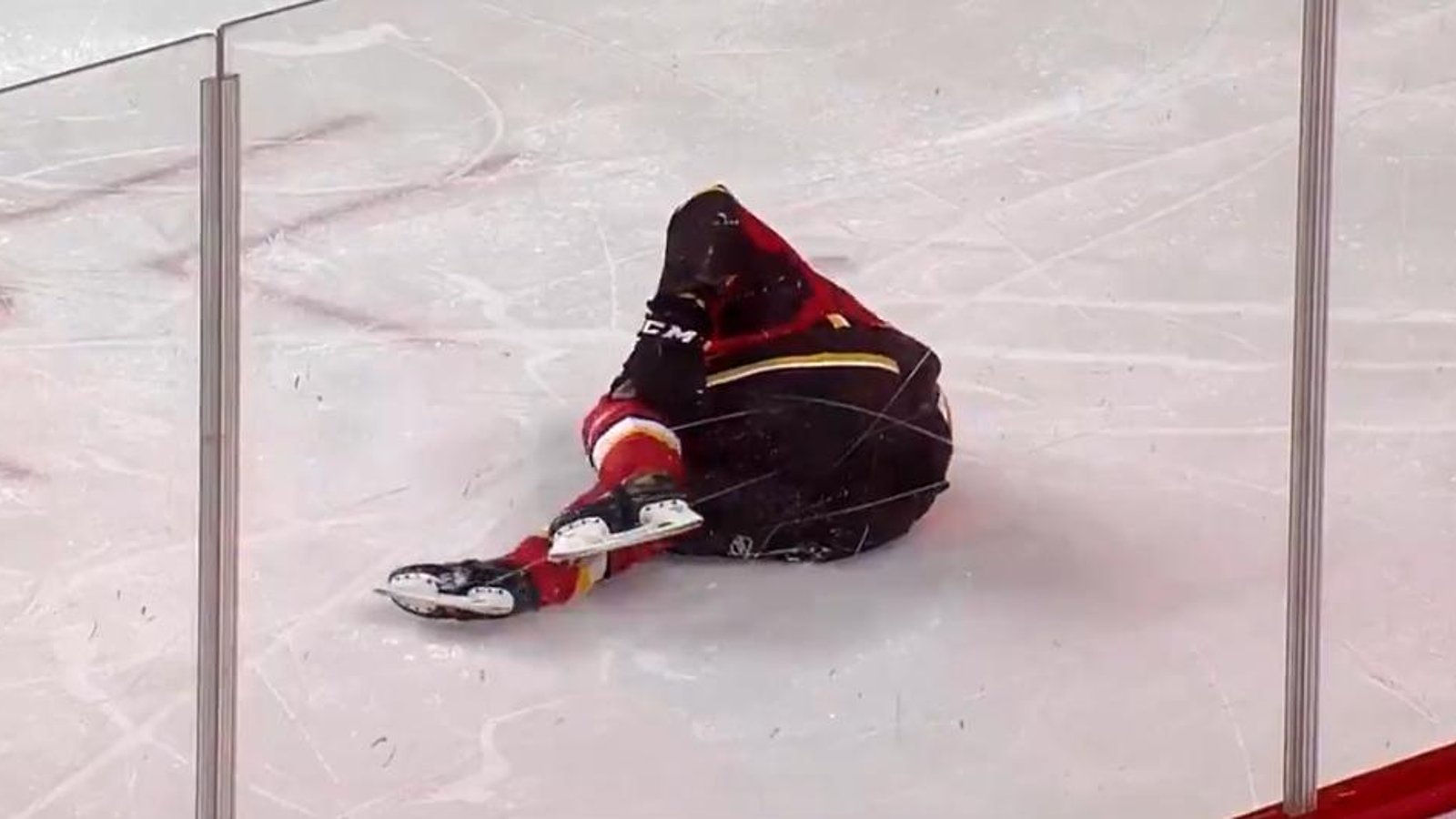 Pospisil in agony after taking one of the most awful looking hits of the year.