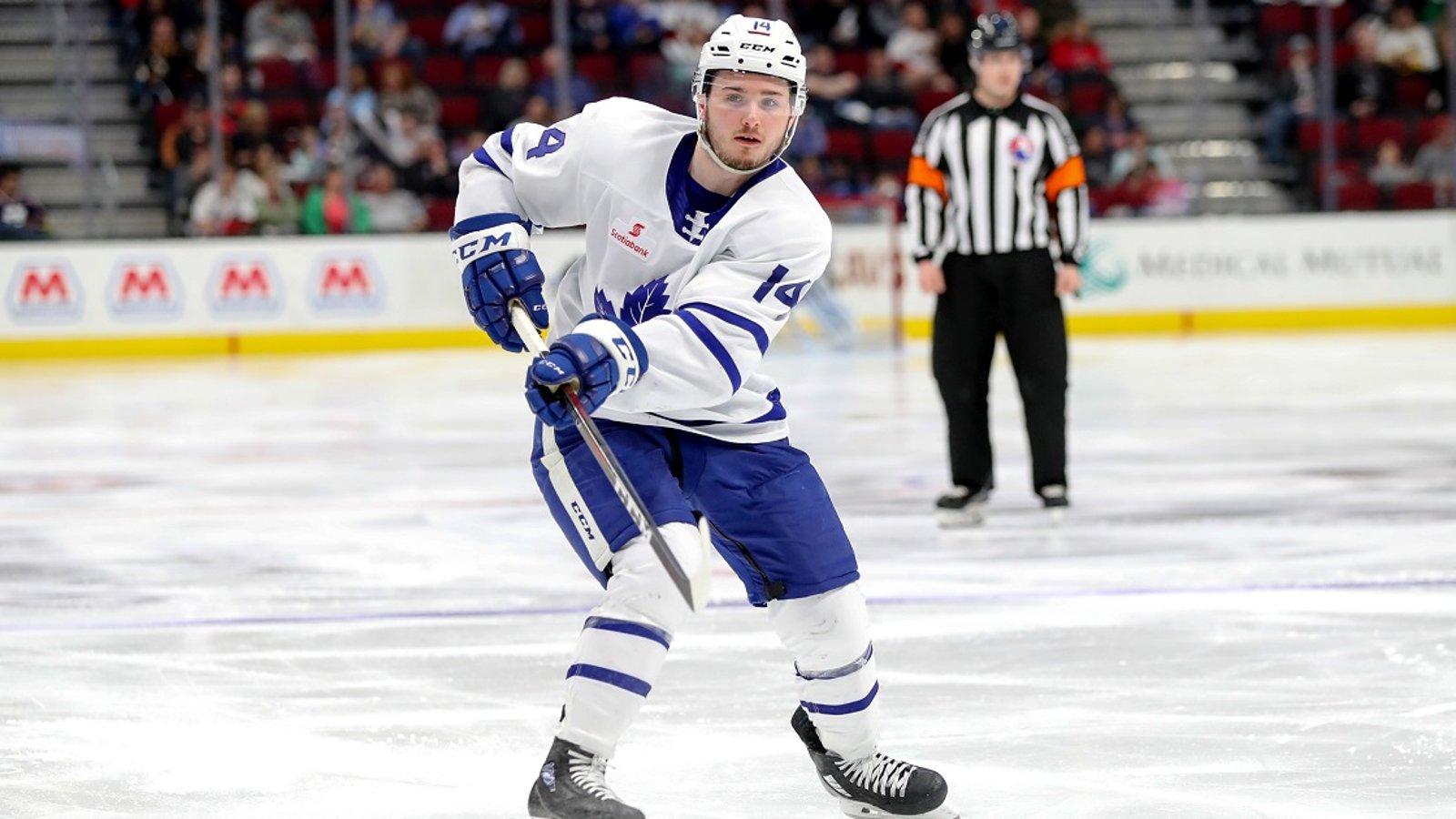 Maple Leafs lose Adam Brooks on waivers.
