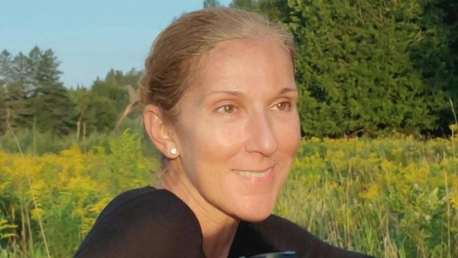 Céline Dion remercie ses fans de lui avoir donné du courage