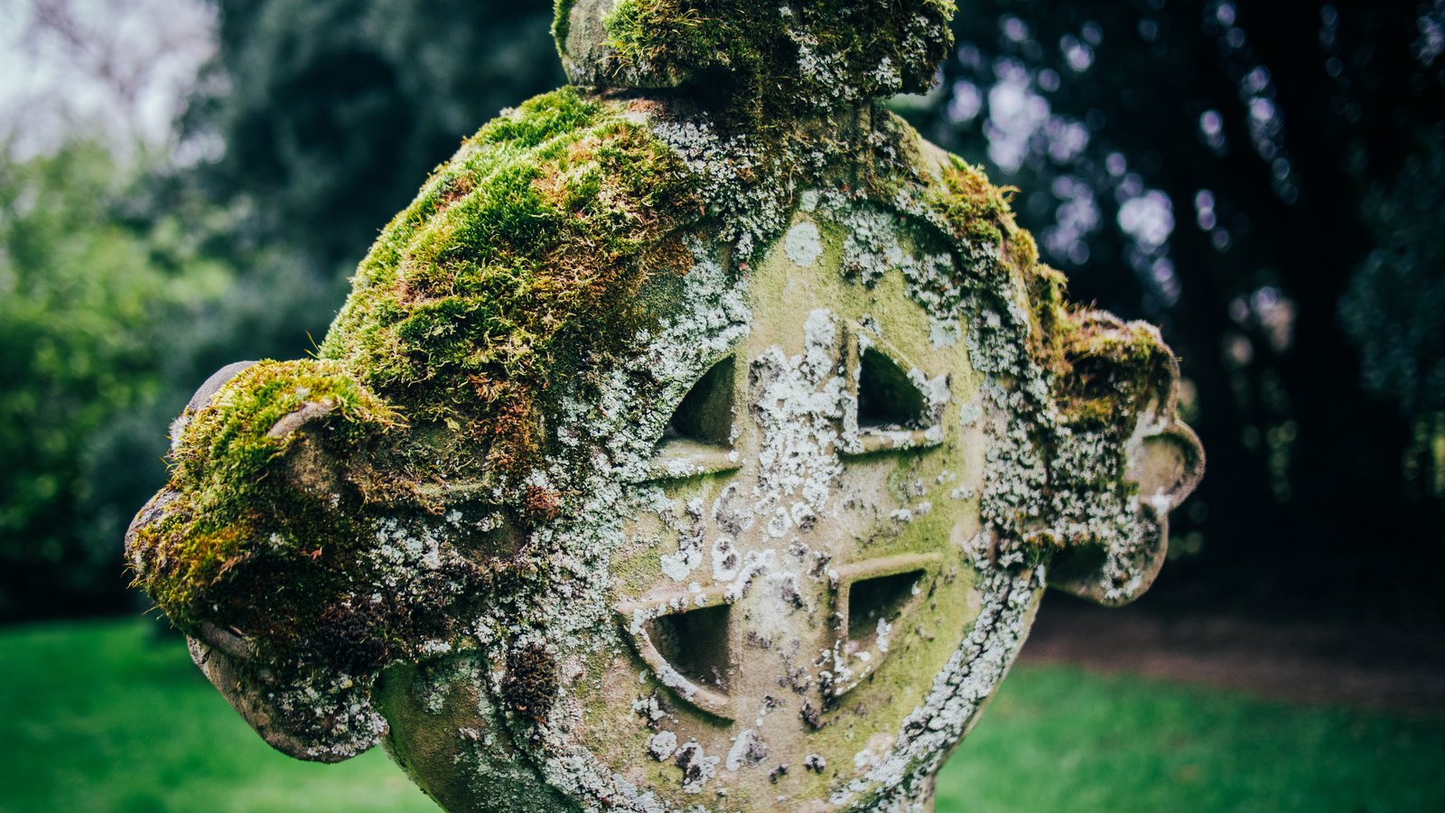 L'astrologie celtique vous aidera à mieux comprendre vos racines