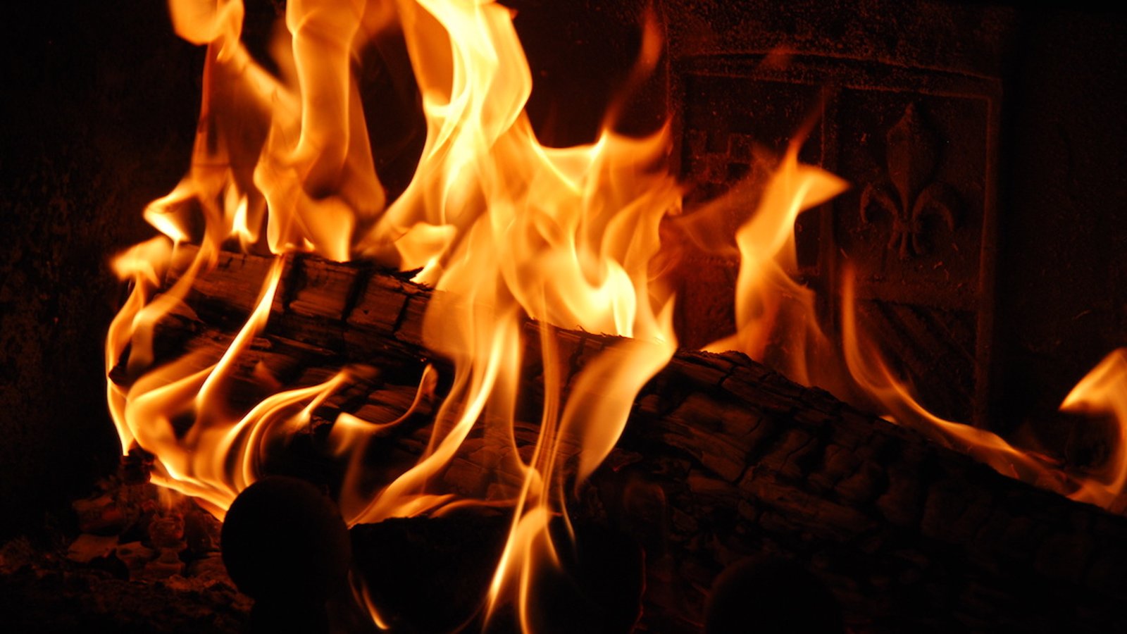 Tout savoir sur les signes de Feu