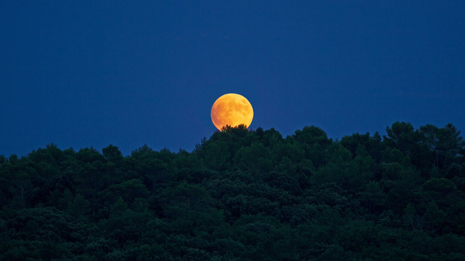 L'influence de la Lune de Sang du 28 octobre sur chaque signe astrologique