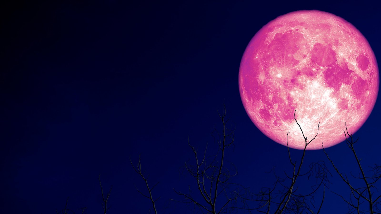 La Lune des fraises sera parmi nous dimanche