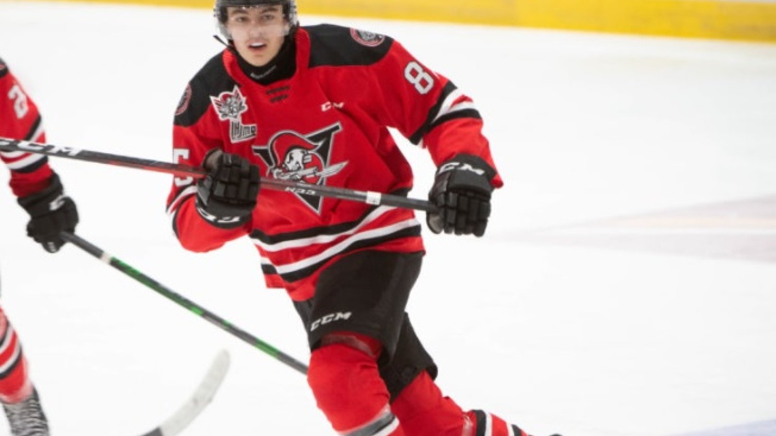 LHJMQ: Un jeune joueur des Voltigeurs voit sa vie bouleversée par la maladie