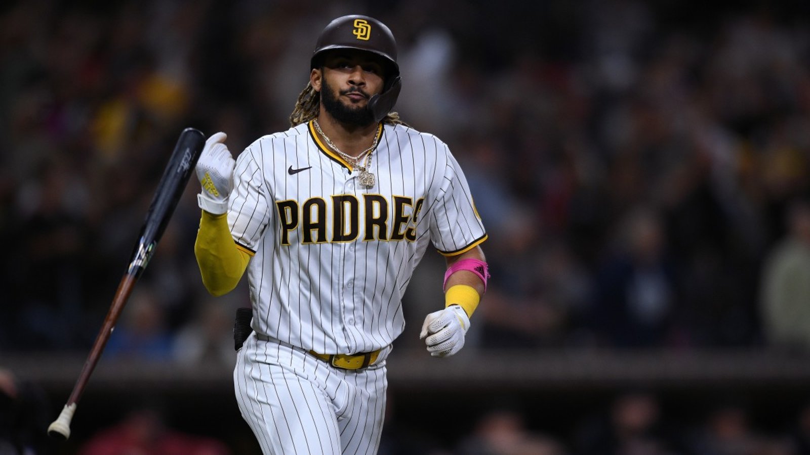 Fernando Tatis Jr. suspendu 80 matchs