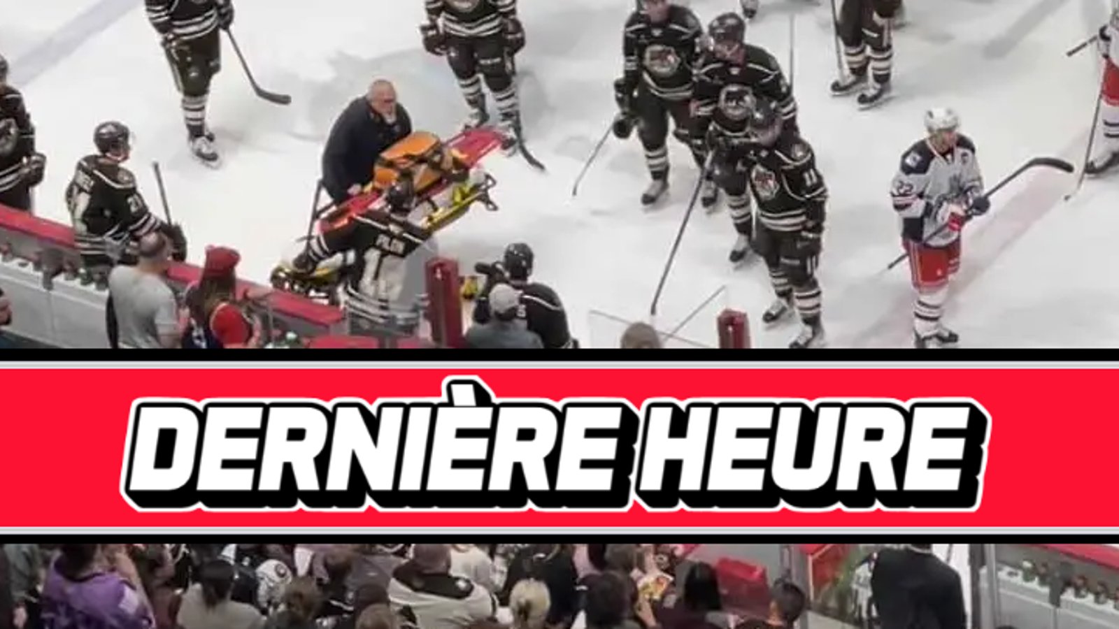 Scène effrayante dans la LAH alors qu'un joueur s'effondre sur le banc du Wolf Pack