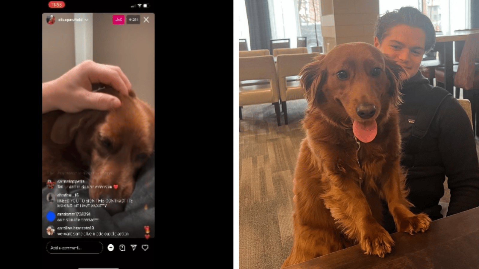 Cole Caufield confirme son avenir avec le Canadien dans un live Instagram ?