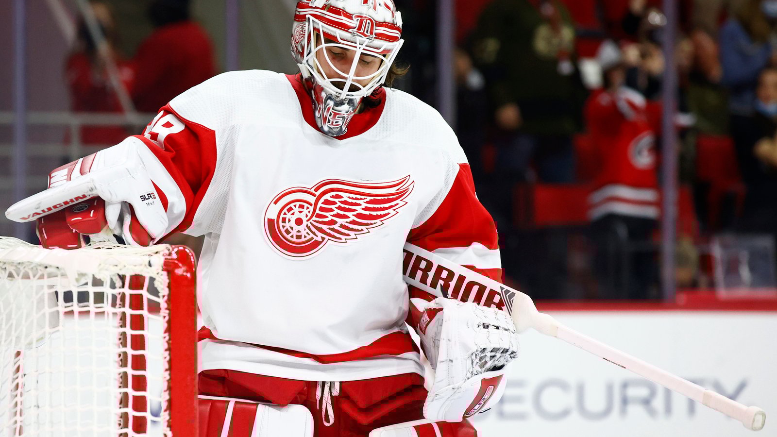 Les Red Wings placent leur gardien Alex Nedeljkovic au ballotage