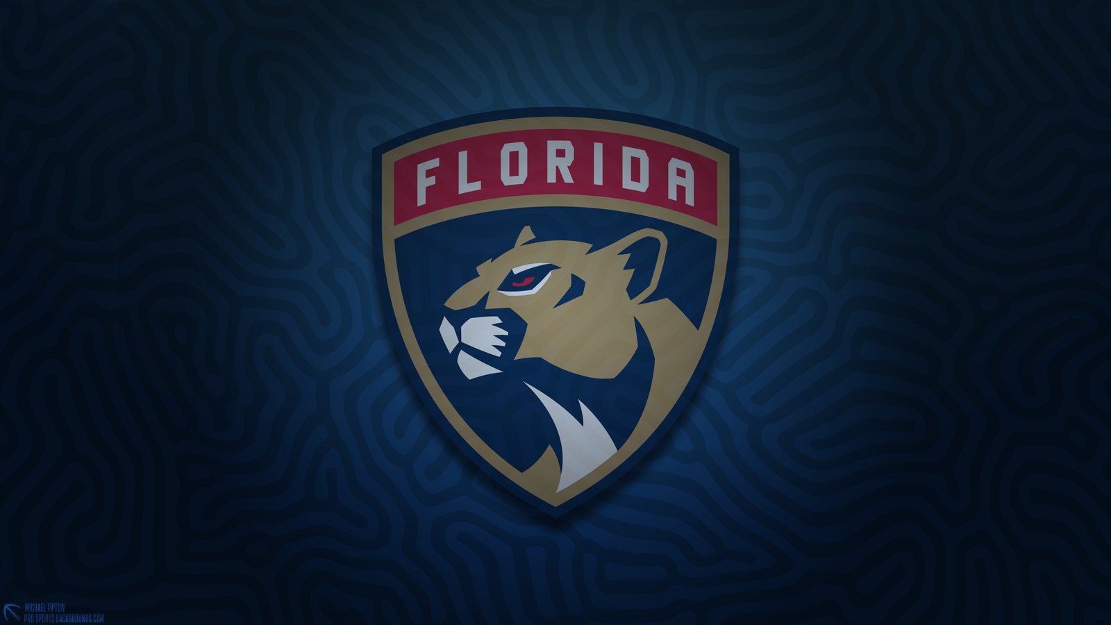 Les Panthers pourraient avoir du renfort important ce soir