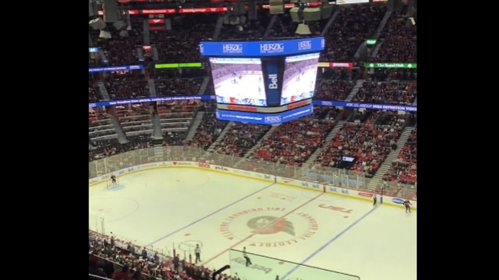La foule à Ottawa réclame à pleins poumons le congédiement de D.J Smith