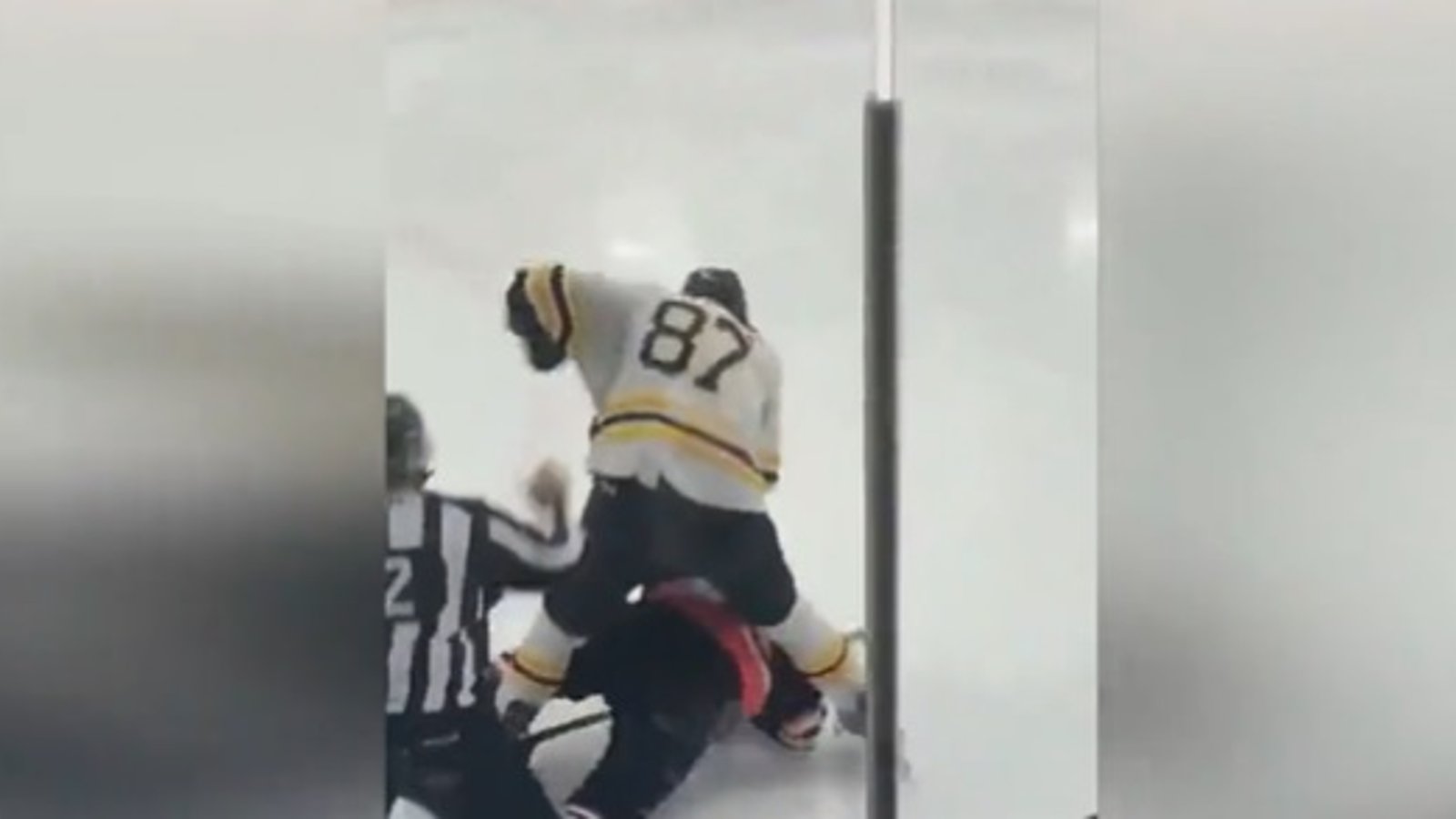 Donald Brashear officiellement suspendu pour ses gestes