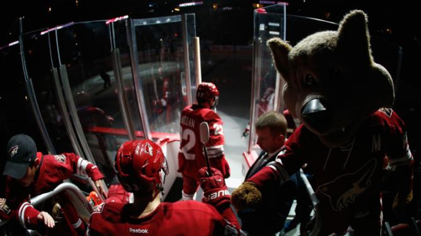 Les Coyotes sont rejetés dans leur ultime tentative de sauver la franchise