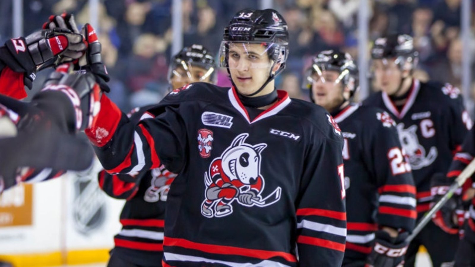Énorme controverse dans la OHL alors que l'organisation IceDogs est condamnée à de graves sanctions