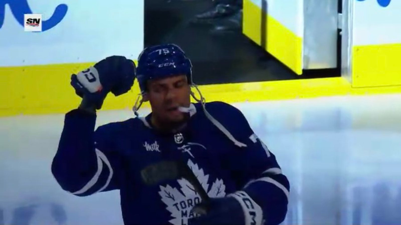 Ryan Reaves est une catastrophe à Toronto cette saison
