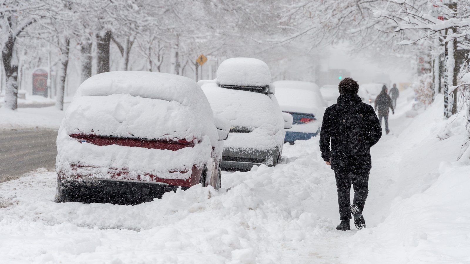 Les prévisions météo pour l'hiver qui s'en vient sont sorties et il y a un gros point négatif.