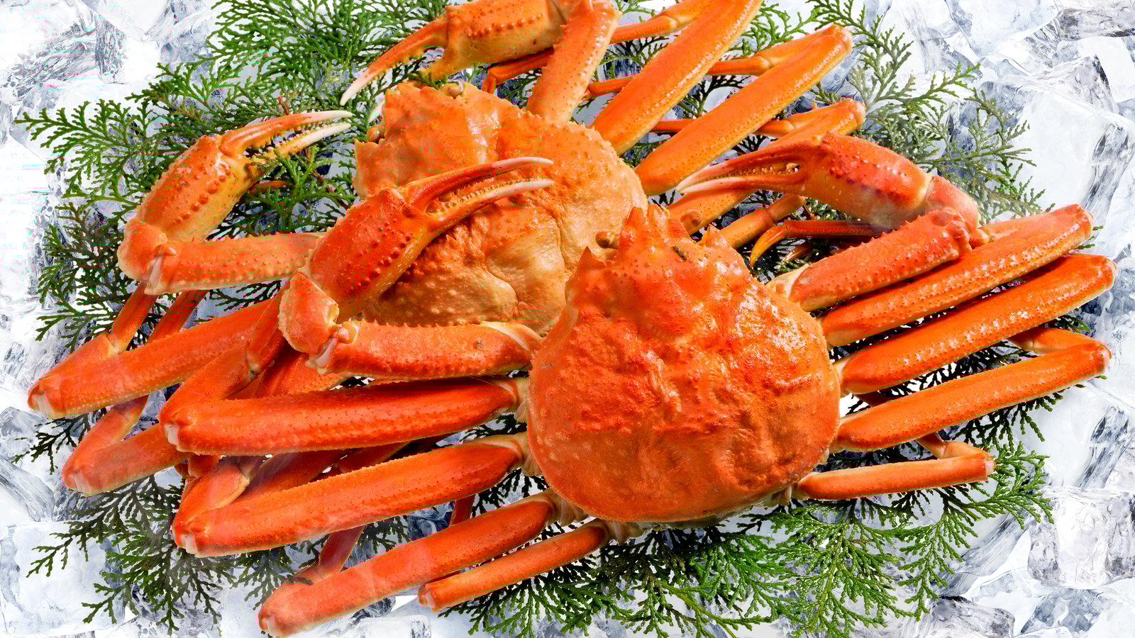 Le crabe fracasse un autre record de prix