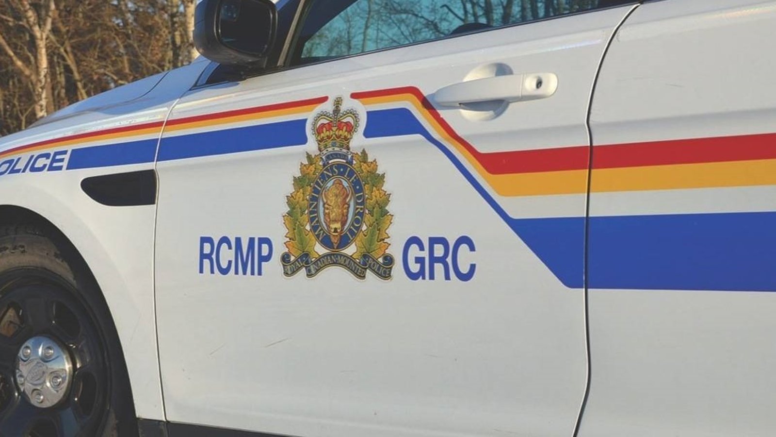Thieves target minor hockey tournament holding Christmas raffle.