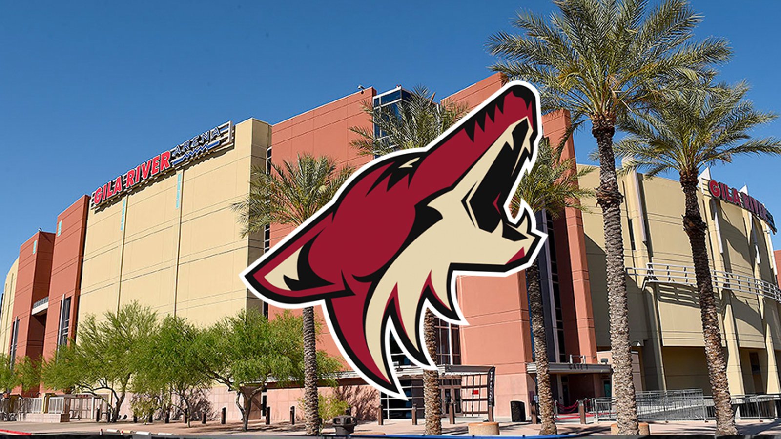Coyotes pay off their debt just 24 hours before deadline