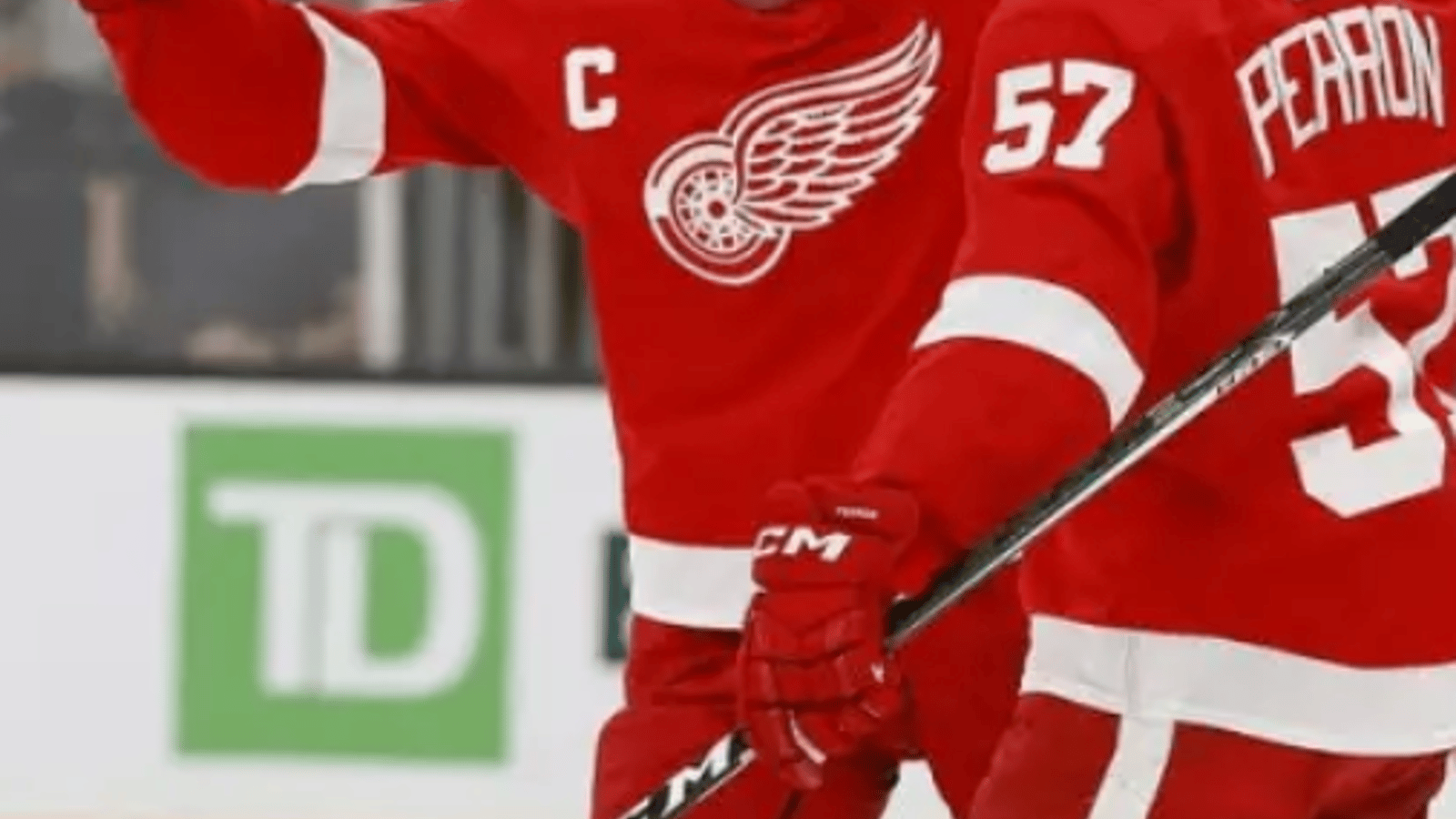 Roster move in Detroit gives Red Wings' fans hope